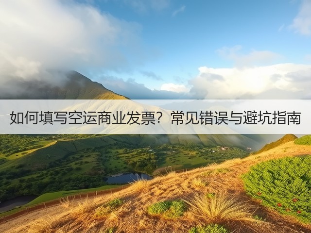 如何填写空运商业发票？常见错误与避坑指南(图3)