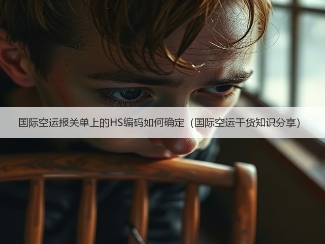 国际空运报关单上的HS编码如何确定(国际空运干货知识分享)(图3) 国际空运报关单上的HS编码如何确定(国际空运干货知识分享)(图3)