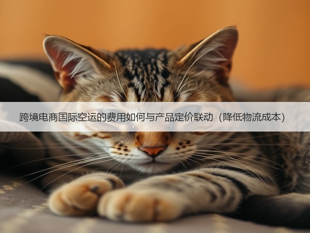 跨境电商国际空运的费用如何与产品定价联动(降低物流成本)(图3) 跨境电商国际空运的费用如何与产品定价联动(降低物流成本)(图3)