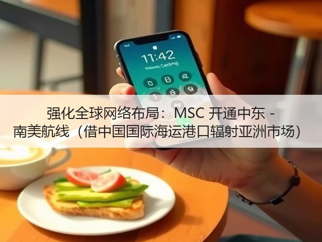 强化全球网络布局:MSC 开通中东 - 南美航线(借中国国际海运港口辐射亚洲市场)(图3) 强化全球网络布局:MSC 开通中东 - 南美航线(借中国国际海运港口辐射亚洲市场)(图3)
