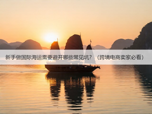 新手做国际海运需要避开哪些常见坑？（跨境电商卖家必看）(图1)