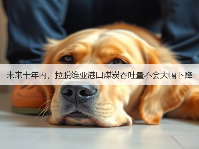 未来十年内,拉脱维亚港口煤炭吞吐量不会大幅下降(图2) 未来十年内,拉脱维亚港口煤炭吞吐量不会大幅下降(图2)