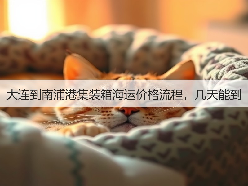 大连到南浦港集装箱海运价格流程，几天能到