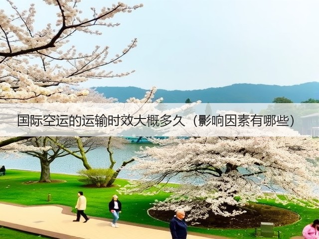 国际空运的运输时效大概多久(影响因素有哪些)(图3) 国际空运的运输时效大概多久(影响因素有哪些)(图3)