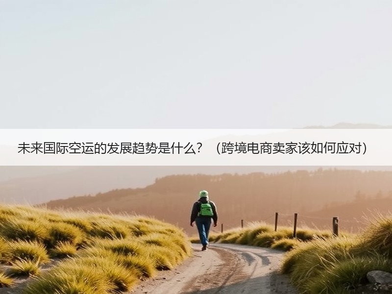未来国际空运的发展趋势是什么？（跨境电商卖家该如何应对）