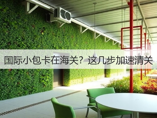 国际小包卡在海关？这几步加速清关(图3)