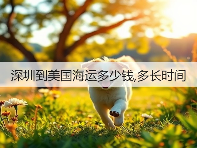 深圳到美国海运多少钱,多长时间(图1)