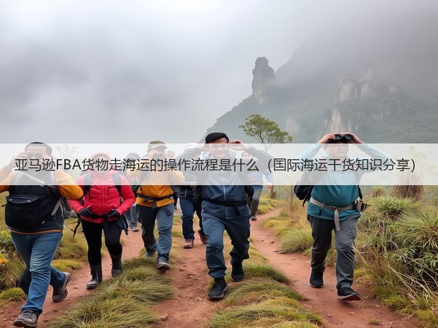 亚马逊FBA货物走海运的操作流程是什么（国际海运干货知识分享）(图3)