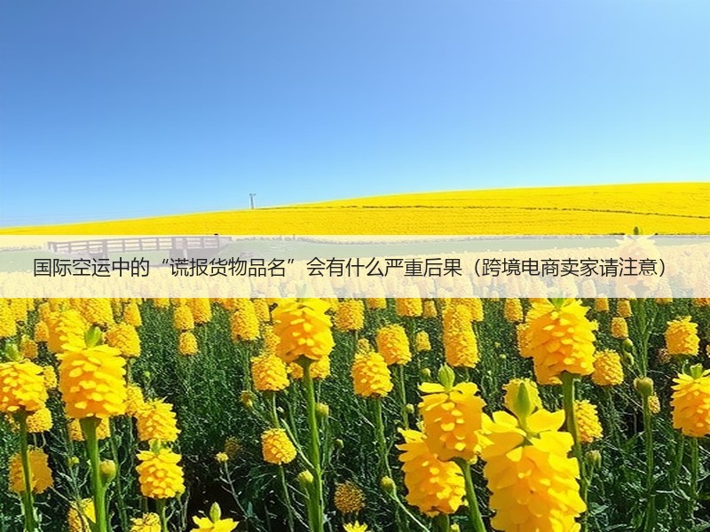 国际空运中的“谎报货物品名”会有什么严重后果（跨境电商卖家请注意）