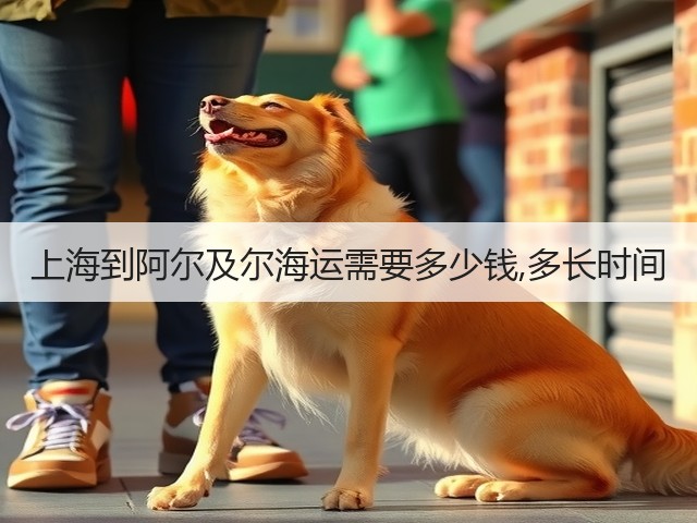 上海到阿尔及尔海运需要多少钱,多长时间(图1) 上海到阿尔及尔海运需要多少钱,多长时间(图1)
