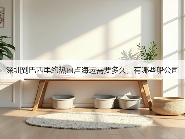 深圳到巴西里约热内卢海运需要多久,有哪些船公司(图1) 深圳到巴西里约热内卢海运需要多久,有哪些船公司(图1)