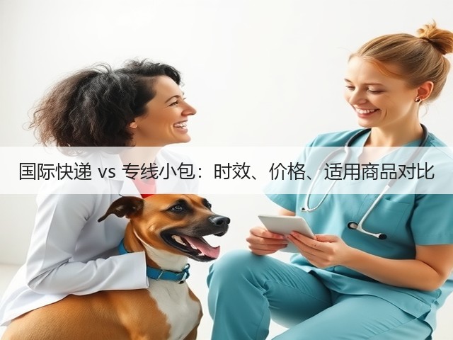 国际快递 vs 专线小包：时效、价格、适用商品对比(图1)