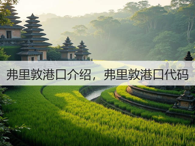 弗里敦港口介绍，弗里敦港口代码(图2)