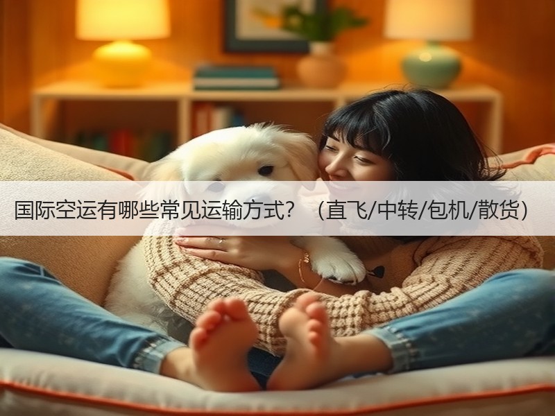 国际空运有哪些常见运输方式？（直飞/中转/包机/散货）