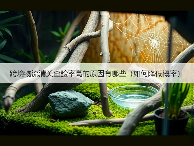 跨境物流清关查验率高的原因有哪些(如何降低概率)(图1) 跨境物流清关查验率高的原因有哪些(如何降低概率)(图1)