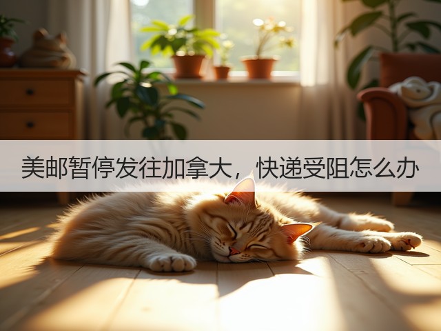 美邮暂停发往加拿大,快递受阻怎么办(图3) 美邮暂停发往加拿大,快递受阻怎么办(图3)