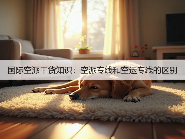 国际空派干货知识:空派专线和空运专线的区别(图3) 国际空派干货知识:空派专线和空运专线的区别(图3)