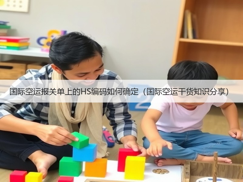 国际空运报关单上的HS编码如何确定（国际空运干货知识分享）