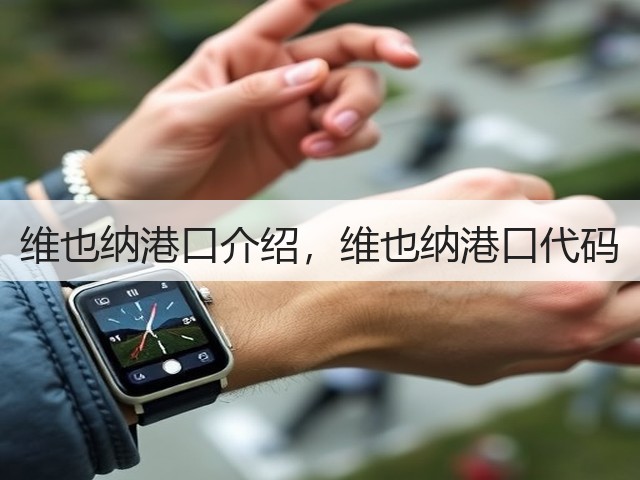 维也纳港口介绍,维也纳港口代码(图1) 维也纳港口介绍,维也纳港口代码(图1)