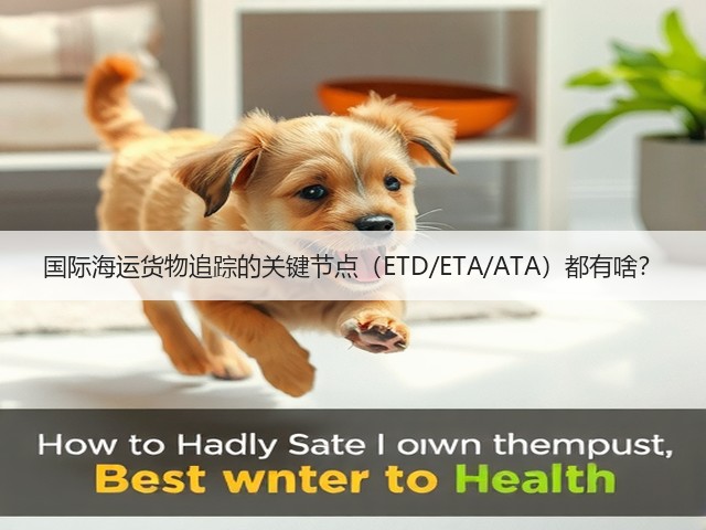 国际海运货物追踪的关键节点（ETD/ETA/ATA）都有啥？(图3)