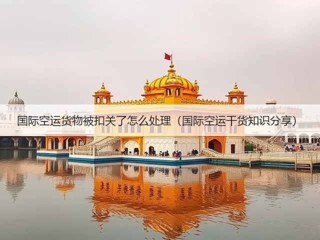 国际空运货物被扣关了怎么处理（国际空运干货知识分享）(图3)