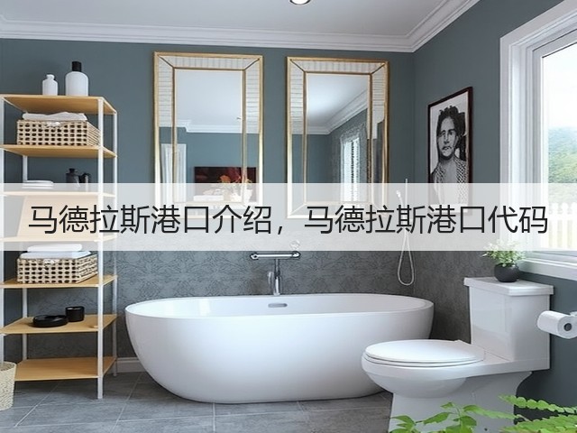 马德拉斯港口介绍,马德拉斯港口代码(图2) 马德拉斯港口介绍,马德拉斯港口代码(图2)