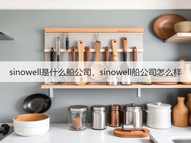 sinowell是什么船公司，sinowell船公司怎么样(图1)