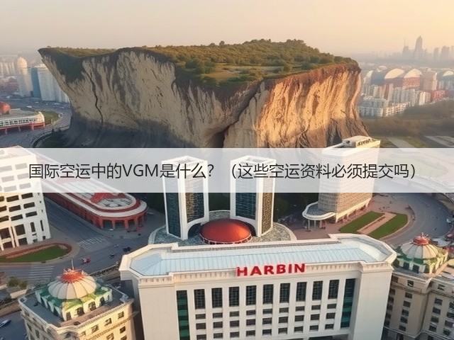 国际空运中的VGM是什么?(这些空运资料必须提交吗)(图3) 国际空运中的VGM是什么?(这些空运资料必须提交吗)(图3)