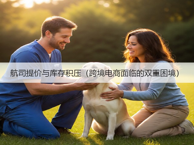 航司提价与库存积压(跨境电商面临的双重困境)(图3) 航司提价与库存积压(跨境电商面临的双重困境)(图3)