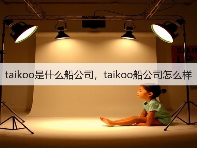 taikoo是什么船公司，taikoo船公司怎么样(图3)
