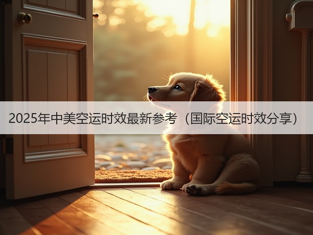 2025年中美空运时效最新参考（国际空运时效分享）(图2)