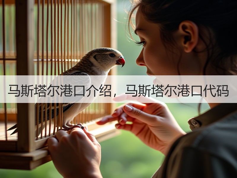 马斯塔尔港口介绍,马斯塔尔港口代码 马斯塔尔港口介绍,马斯塔尔港口代码