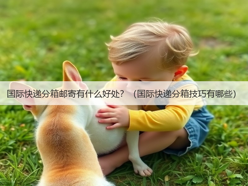 国际快递分箱邮寄有什么好处?(国际快递分箱技巧有哪些) 国际快递分箱邮寄有什么好处?(国际快递分箱技巧有哪些)