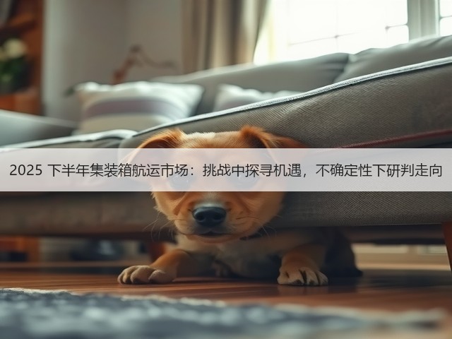2025 下半年集装箱航运市场：挑战中探寻机遇，不确定性下研判走向(图3)