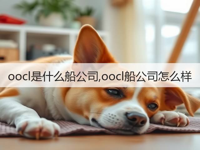 oocl是什么船公司,oocl船公司怎么样(图1)