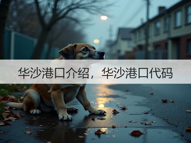 华沙港口介绍，华沙港口代码(图2)