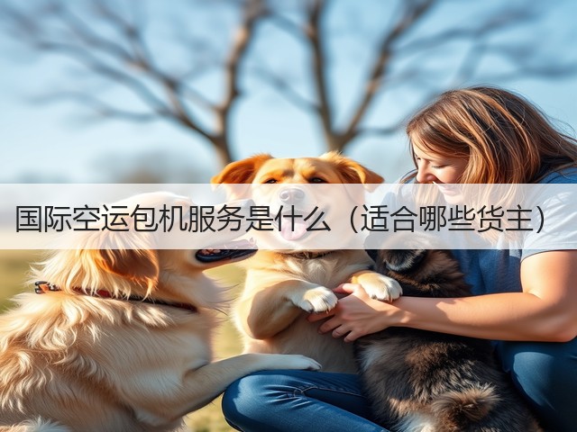 国际空运包机服务是什么（适合哪些货主）(图2)