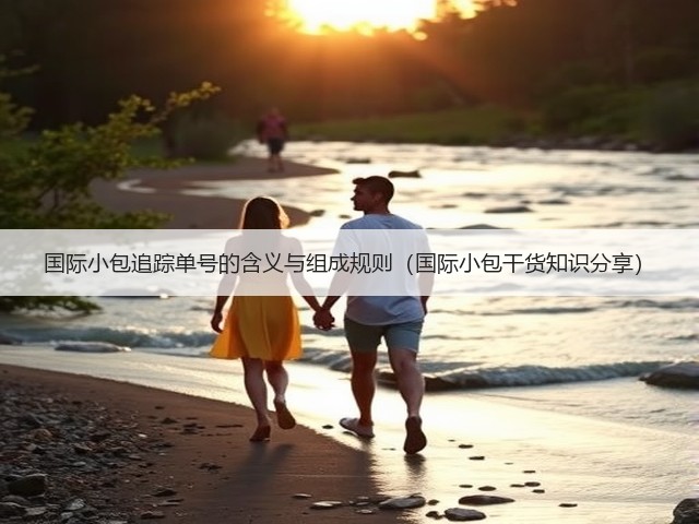 国际小包追踪单号的含义与组成规则（国际小包干货知识分享）(图3)