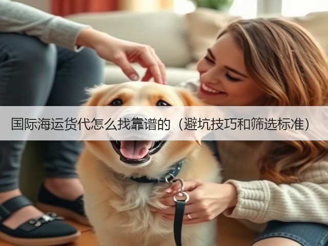 国际海运货代怎么找靠谱的（避坑技巧和筛选标准）(图3)