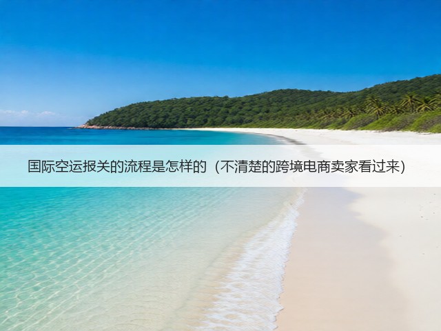 国际空运报关的流程是怎样的(不清楚的跨境电商卖家看过来)(图3) 国际空运报关的流程是怎样的(不清楚的跨境电商卖家看过来)(图3)