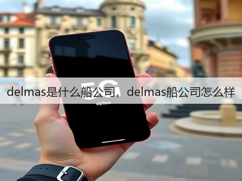 delmas是什么船公司，delmas船公司怎么样