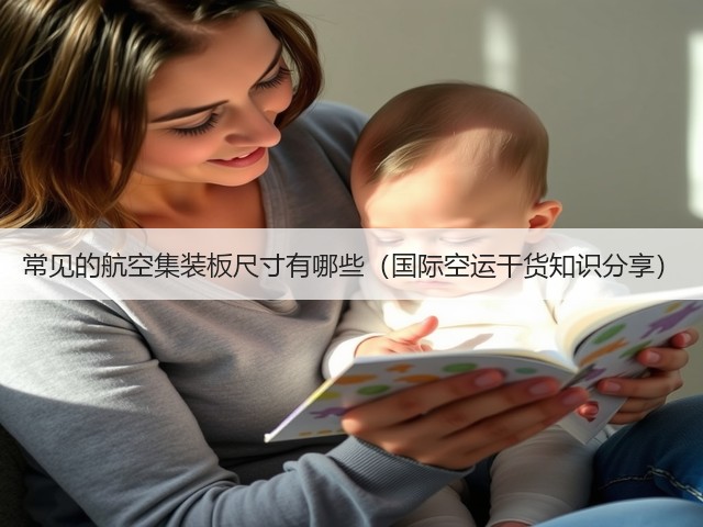 常见的航空集装板尺寸有哪些（国际空运干货知识分享）(图3)