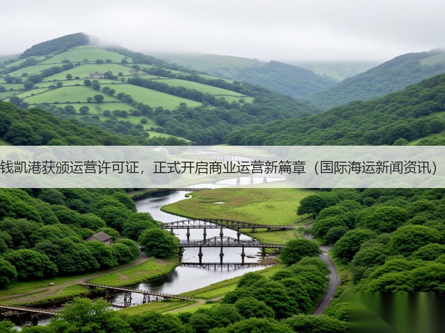 钱凯港获颁运营许可证，正式开启商业运营新篇章（国际海运新闻资讯）(图3)