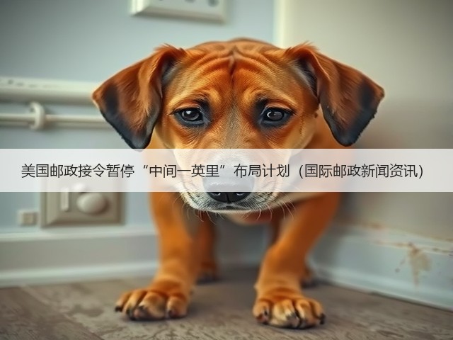 美国邮政接令暂停“中间一英里”布局计划(国际邮政新闻资讯)(图1) 美国邮政接令暂停“中间一英里”布局计划(国际邮政新闻资讯)(图1)