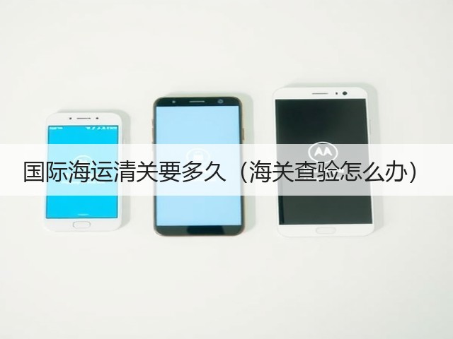 国际海运清关要多久（海关查验怎么办）(图3)