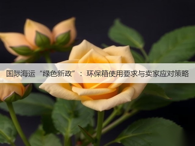 国际海运“绿色新政”:环保箱使用要求与卖家应对策略(图3) 国际海运“绿色新政”:环保箱使用要求与卖家应对策略(图3)