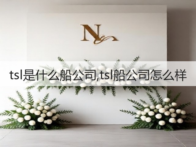 tsl是什么船公司,tsl船公司怎么样(图2)