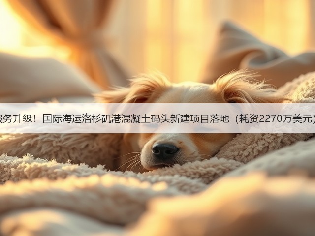服务升级！国际海运洛杉矶港混凝土码头新建项目落地（耗资2270万美元）(图1)