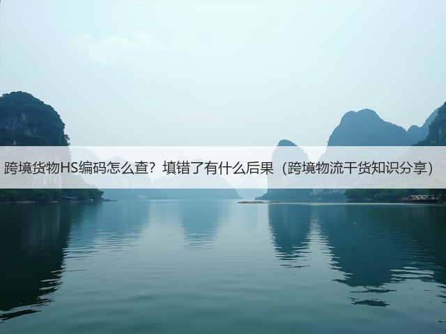 跨境货物HS编码怎么查?填错了有什么后果(跨境物流干货知识分享)(图2) 跨境货物HS编码怎么查?填错了有什么后果(跨境物流干货知识分享)(图2)