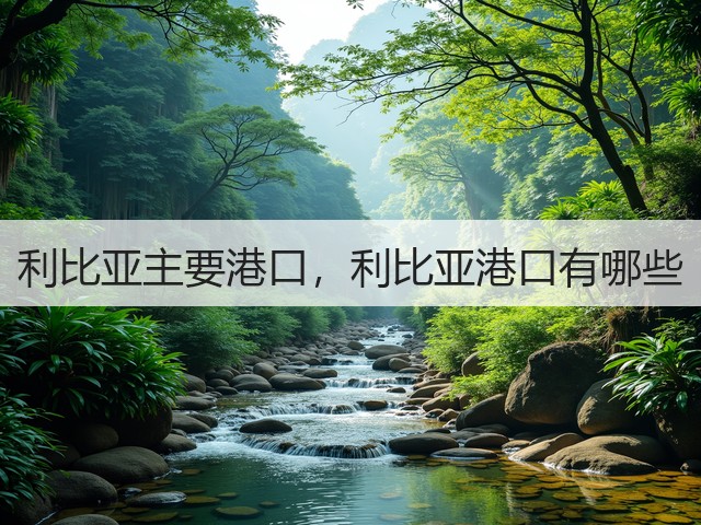 利比亚主要港口，利比亚港口有哪些(图3)